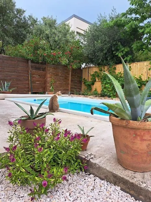 Appartement Proche Gare Jardin Et Piscine. Toulouse